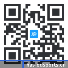 苹果版 iOS 二维码（odapp）